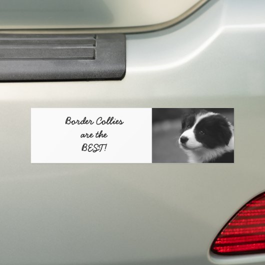 De Collies van de grens zijn het BESTE! Bumpersticker (Op auto)