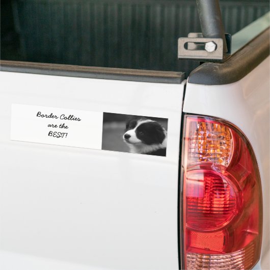 De Collies van de grens zijn het BESTE! Bumpersticker (Op Truck)