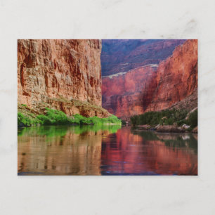 De Colorado in Grand Canyon, AZ Briefkaart