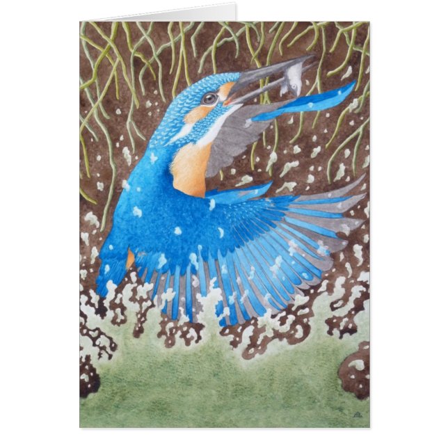 De Common Kingfisher (Voorkant)