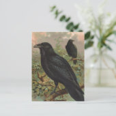 De Common Raven  Bird Illustratie Briefkaart (Staand voorkant)