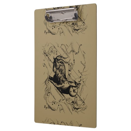 De Constellatie Hevelius 1690 van Steenbok op Klembord (Links)