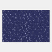 De constellaties inpakpapier vel (Voorkant)