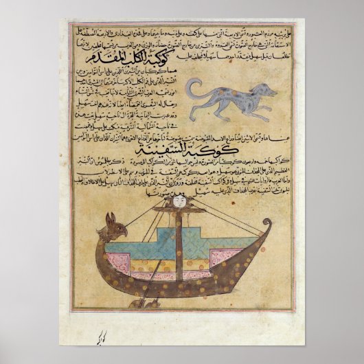 De Constellaties van de Dog en de Keel Poster (Voorkant)