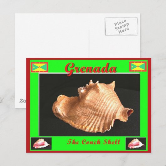 De container Shell Briefkaart (Voorkant / Achterkant)