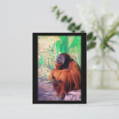 De contemplaar - Briefkaart (Staand voorkant)