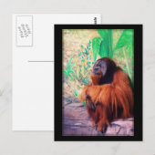 De contemplaar - Briefkaart (Voorkant / Achterkant)