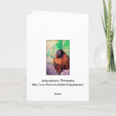 De contemplator - Kaart (Achterkant)