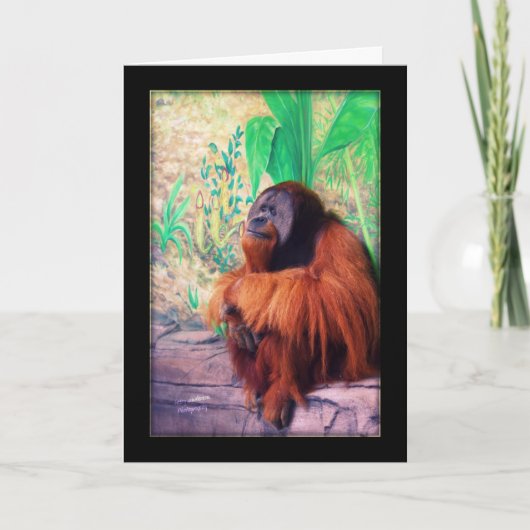 De contemplator - Kaart (Voorkant)