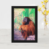 De contemplator - Kaart (Gele Bloem)