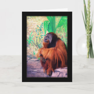 De contemplator - Kaart