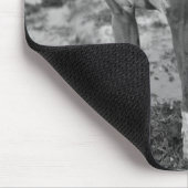 De Cooper-Muismat Muismat (Hoek)