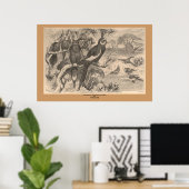 De Corella Poster (Thuiskantoor)