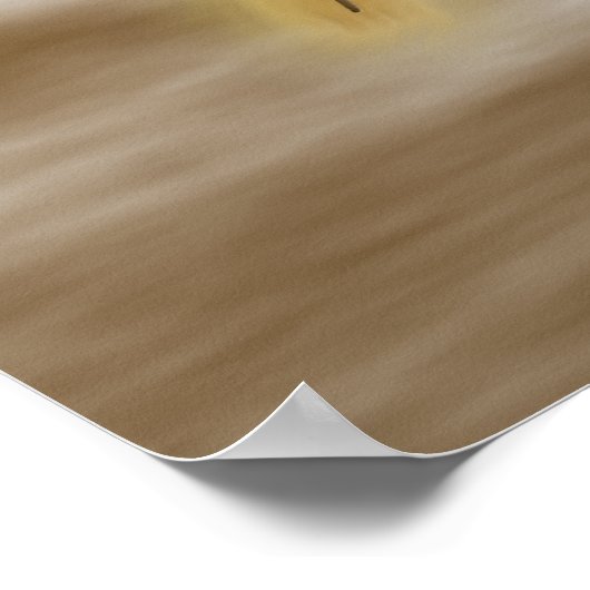 De corona poster (Hoek)