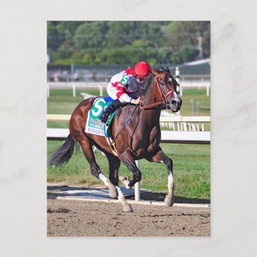 De Cotillion 2016 Briefkaart (Voorkant)