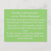 De Cottonmouth van Florida - het Leren Briefkaart (Achterkant)