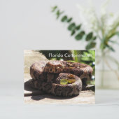 De Cottonmouth van Florida - het Leren Briefkaart (Staand voorkant)