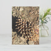 De Coulter Pinecone Feestdagenkaart (Staand voorkant)