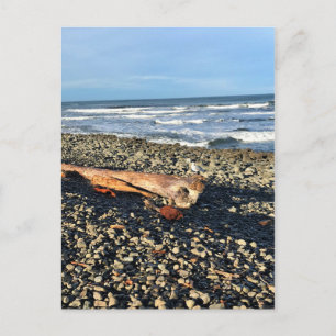 De cove in Seaside, Oregon Briefkaart