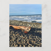De cove in Seaside, Oregon Briefkaart (Voorkant)