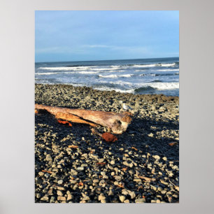 De cove in Seaside, Oregon Poster