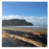 De cove in Seaside, Oregon Tegeltje (Voorkant)