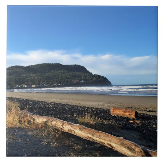 De cove in Seaside, Oregon Tegeltje (Voorkant)