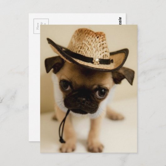De Cowboy Pug Puppy Briefkaart (Voorkant / Achterkant)