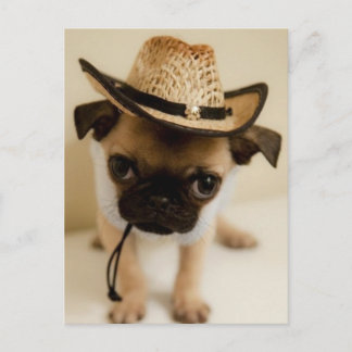 De Cowboy Pug Puppy Briefkaart