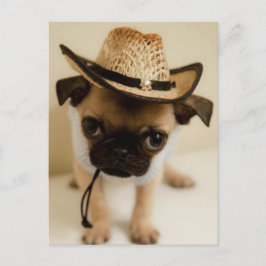 De Cowboy Pug Puppy Briefkaart