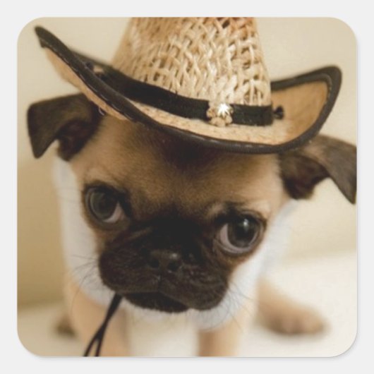De Cowboy Pug Puppy Vierkante Sticker (Voorkant)
