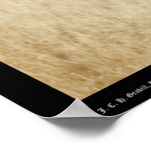 De cowboy SD 1887 Poster (Hoek)