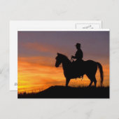 De Cowboy van de zonsondergang Briefkaart (Voorkant / Achterkant)