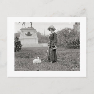 De Crazy Bunny Lady Briefkaart