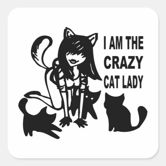 De Crazy Cat Lady Stickers (Voorkant)