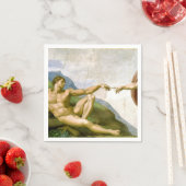 De creatie van Adam door Michelangelo Servet (Insitu)