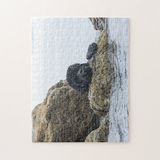 De creatie van het Zee van Newfoundland (kies moei Legpuzzel (Verticaal)