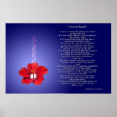 De creed van Optimist: Inspirerend Hibiscus Poster (Voorkant)