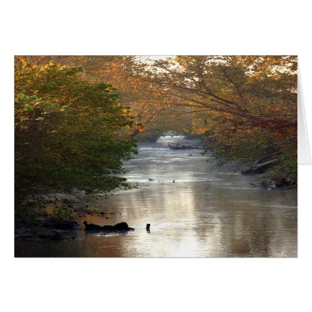 De Creek (Voorkant Horizontaal)