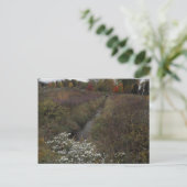 De Creek Briefkaart (Staand voorkant)