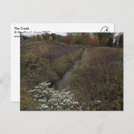 De Creek Briefkaart (Voorkant / Achterkant)