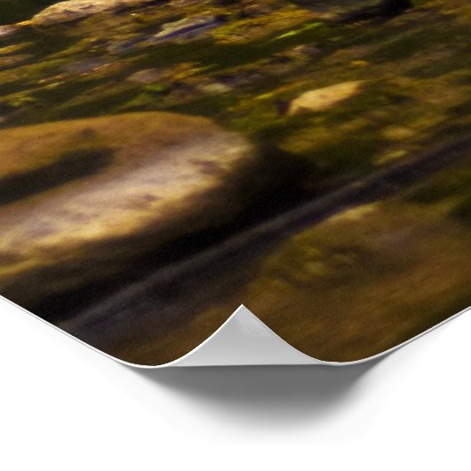 De Creek Poster (Hoek)