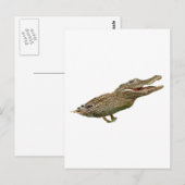 De crocoduck briefkaart (Voorkant / Achterkant)