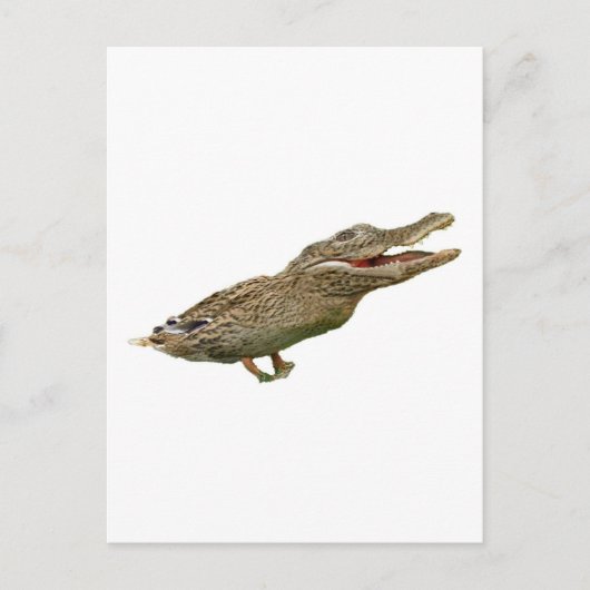 De crocoduck briefkaart (Voorkant)