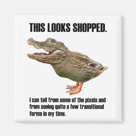 De Crocoduck Deception Magneet (Voorkant)