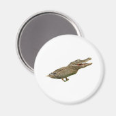 De Crocoduck Magneet (Voorkant / Achterkant)
