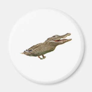 De Crocoduck Magneet