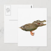 De crocoduck met voeten briefkaart (Voorkant / Achterkant)