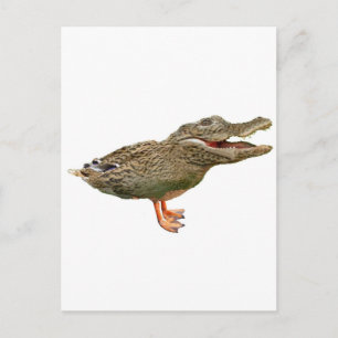 De crocoduck met voeten briefkaart