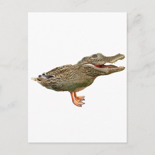 De crocoduck met voeten briefkaart (Voorkant)
